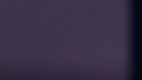 Víctor Manuel Vucetich