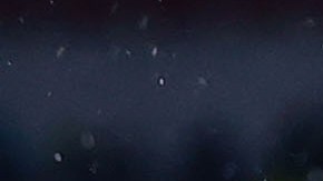 Águilas del América