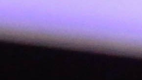 Julio César Chávez