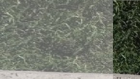 Jovencita relacionada con narcos, entre víctima de accidente múltiple en carretera mexicana