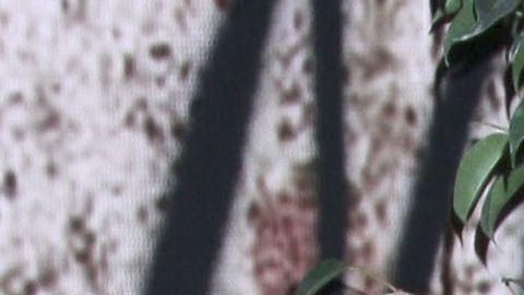 Juan Osorio rompe el silencio sobre su novia Eva Daniela