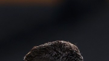 Romo tuvo una destacada participación frente a Brasil.