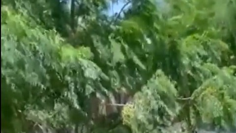 Las autoridades migratorias detuvieron a los inmigrantes en dos distintos grupos.