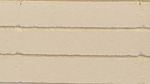 Líder voluntario Chris Mojica junto a miembros del centro para personas de la tercera edad Joseph Vasquez. (Jacqueline García/La Opinión)