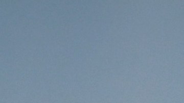 Pavel Nedved, vicepresidente de la Juventus.