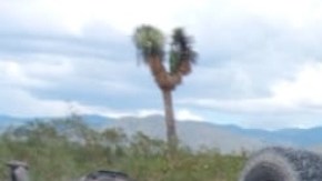 Niña salvadoreña de 6 años muere en accidente cuando iba camino a cruzar frontera