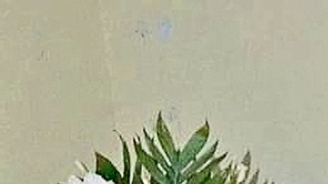 Quedaron sepultados_1417789