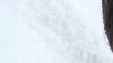 Selena Quintanilla tendrá su propio cómic llamado “Female Force: Selena”