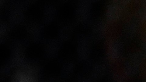 Jordan Williams, peleador de la UFC.