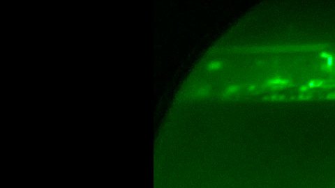 El mayor general Chris Donahue fue el último soldado de EE.UU. en salir de Afganistán