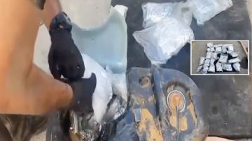 VIDEO: Ciudadano estadounidense es sorprendido transportando 81 libras de heroína