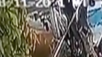 VIDEO: Sujeto en silla de ruedas es captado robando