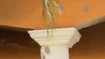 VIDEO: Talibanes, CJNG y Cártel de Sinaloa dejan casas llenas de balas en México