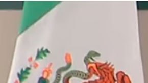 amlo