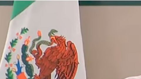 amlo