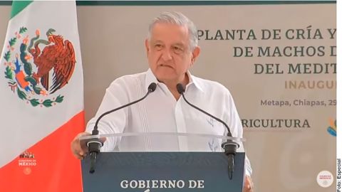 amlo