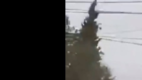 Video: Hombres huían de Estados Unidos y sicarios los levantan con ayuda de policías mexicanos