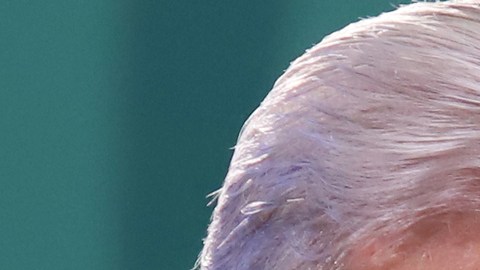 amlo
