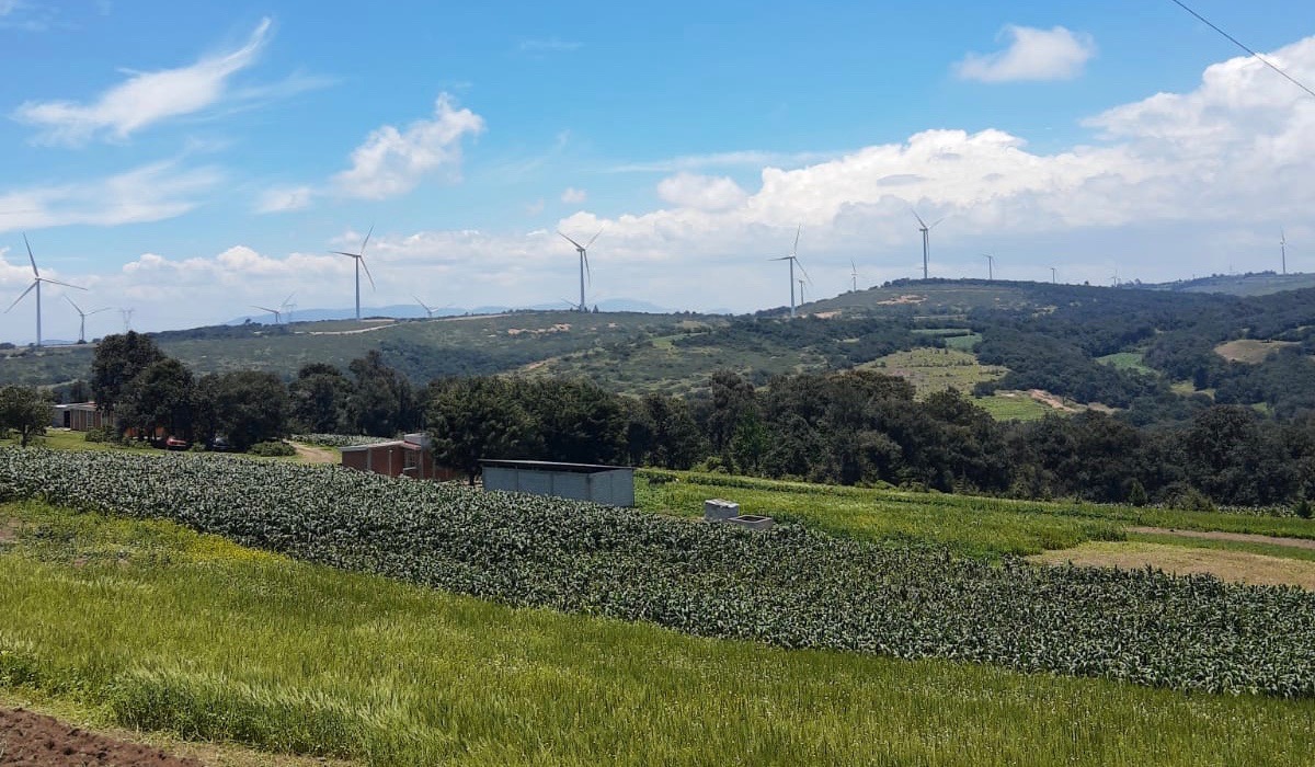 Molinos de viento de la empresa Iberdrola en Cañada de Morelos