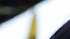 Ana Brenda Contreras y Aaron Díaz son los protagonistas de 'Toda La Sangre'