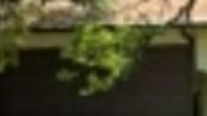 La Policía de Aransas Pass investiga el caso.