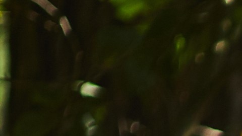 bienestar