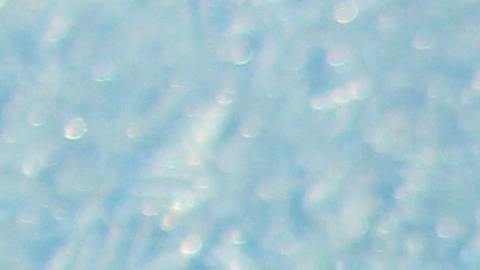 Foto del logo de Toyota en invierno