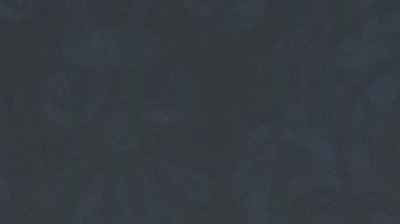 Chiquis Rivera