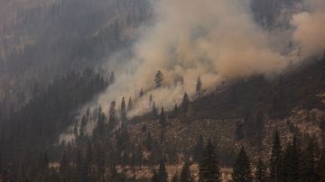 El incendio Caldor sigue su paso por California y provoca la evacuación de la población de South Lake Tahoe
