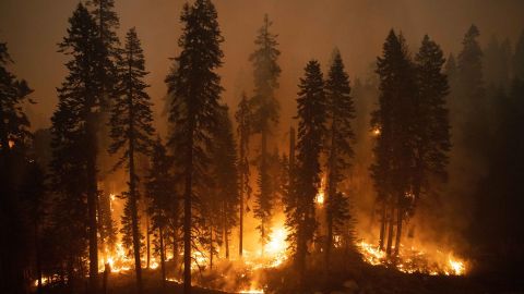 El Dorado County (United States), 31/08/2021.- Flames of the Caldor Fire jump highway 50 and heads towards homes in El Dorado County, California, USA, 30 August 2021. The fire, which has so far burned more than 177,000 acres, caused authorities to issue an evacuation order for residents of the city of South Lake Tahoe. (Incendio, Estados Unidos) EFE/EPA/CHRISTIAN MONTERROSA