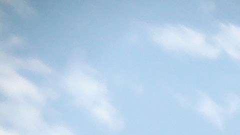 La comunidad rindió homenaje a las 23 víctimas del peor ataque racista contra la comunidad latina en EE.UU.