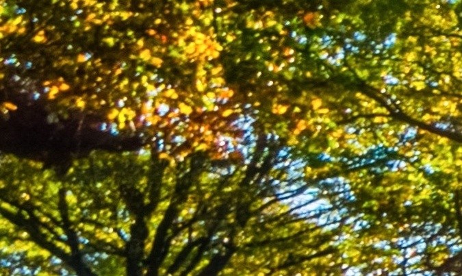 Foto de dos autos eléctricos cargándose