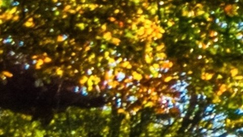 Foto de dos autos eléctricos cargándose