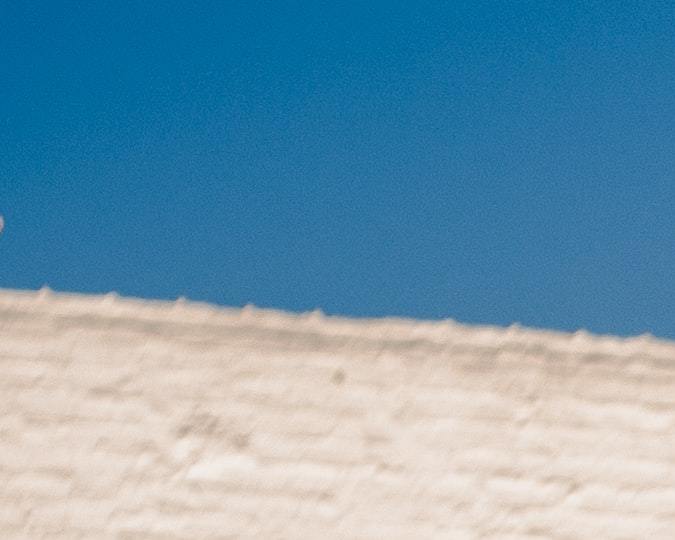 Foto de un hombre lavando su auto con una manguera
