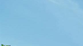 Haití informó que hay cientos de muertos y miles de lesionados tras el sismo.