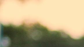 Significado espiritual de los girasoles