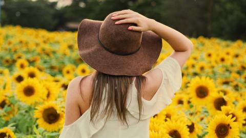 Significado espiritual de los girasoles