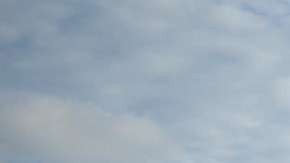 La Guardia Costera de EE.UU. descarga el mayor botín de narcóticos ilegales en su historia