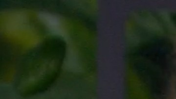 ‘La Casa de los Famosos’: captan a Anahí y Christian agarrándose a besos en el jacuzzi