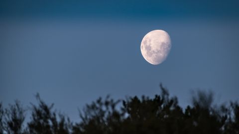 Luna de Esturión lo que debes saber