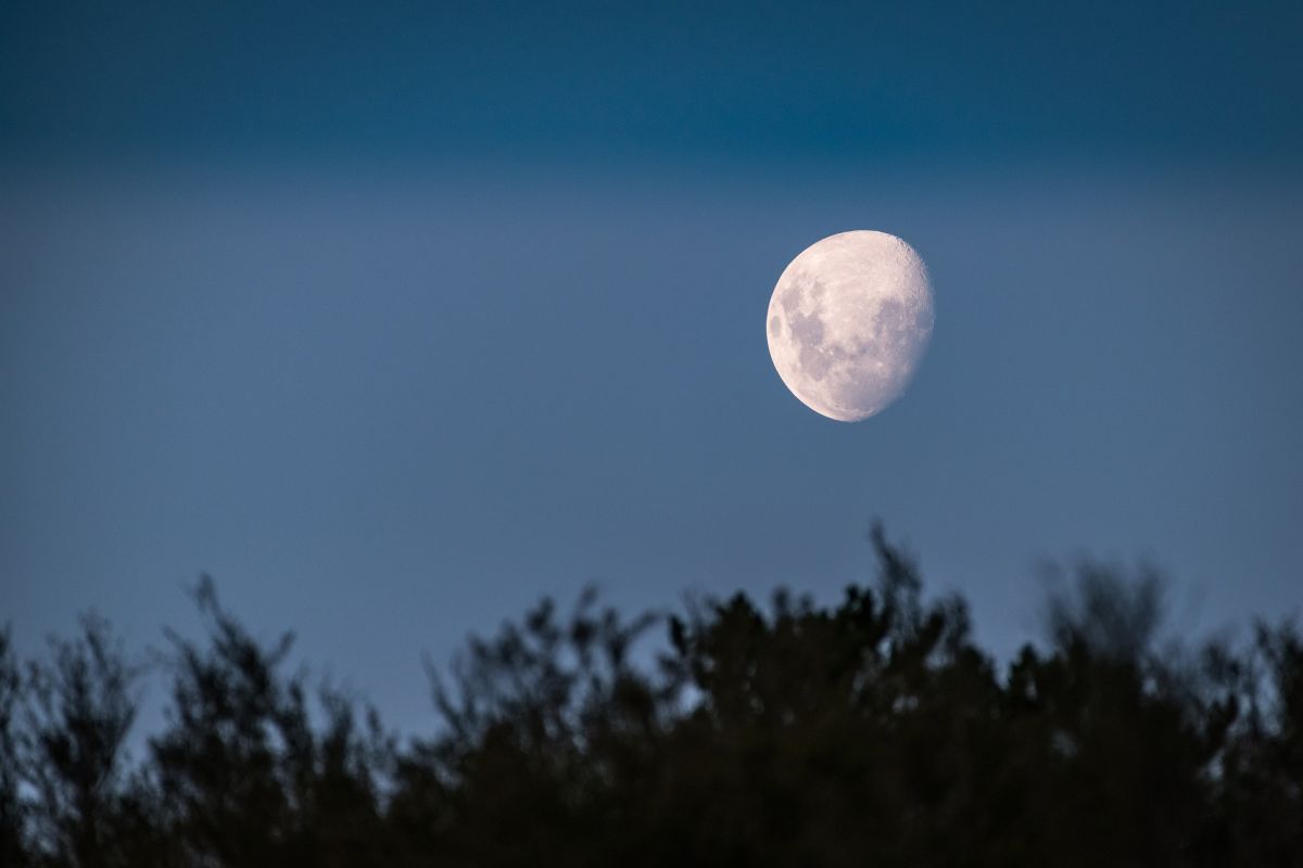 Cuándo es la Luna llena de Esturión y cómo se verá en Estados Unidos y