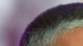 Maluma, Bad Bunny y J Balvin fueron unos de los más nominados