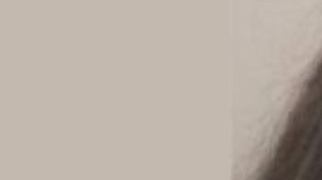 Un jurado sentenció a Cynthia D. Willis, de 51 años.