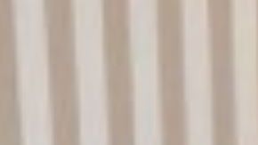 La modelo fue identificada como Janae Gagnier, de 33 años.