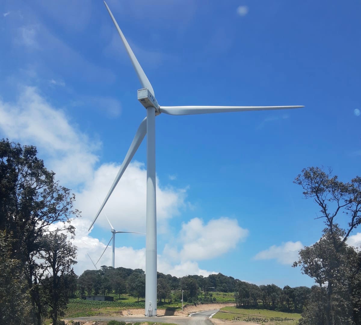 Uno de los aerogeneradores ubicado en la propiedad reclamada por los Vázquez.