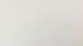 La víctima Janae Gagnier, de 33 años.