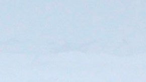 Pablo Montero entrará a 'La Casa de los Famosos'.