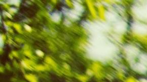 San Diego ajustará su Plan de parques para beneficiar a zonas más necesitadas.