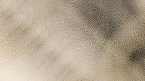 Ante restricciones, la industria porno podría ampliar sus pagos a las criptomonedas