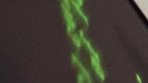 Hacker de Poly Network recibe oferta de $500,000 dólares.